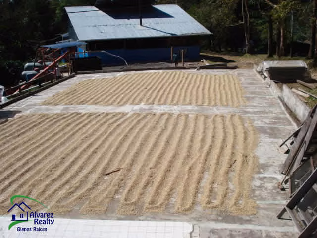 ID # F-0119 Finca de Café