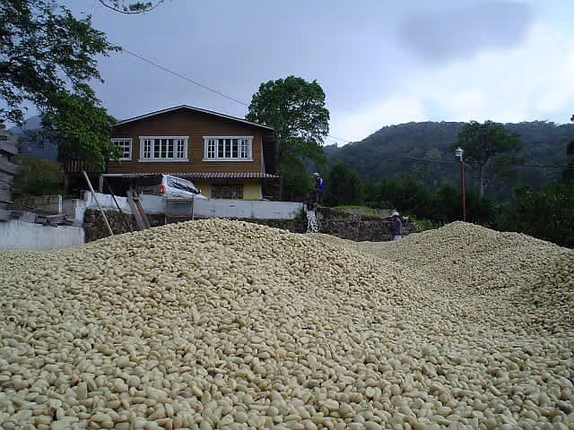 ID # F-0119 Finca de Café