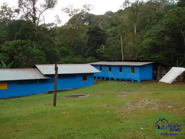 ID # F-0119 Finca de Café