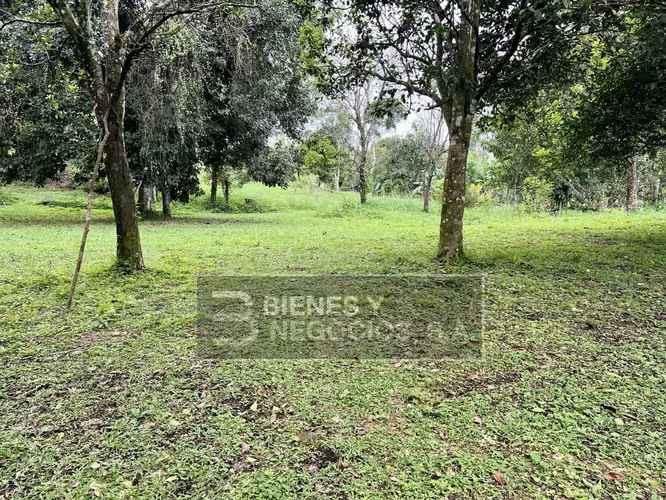 Terreno en Chiriqui, Bugaba, 3.7 hectáreas en Bijagual con Casa