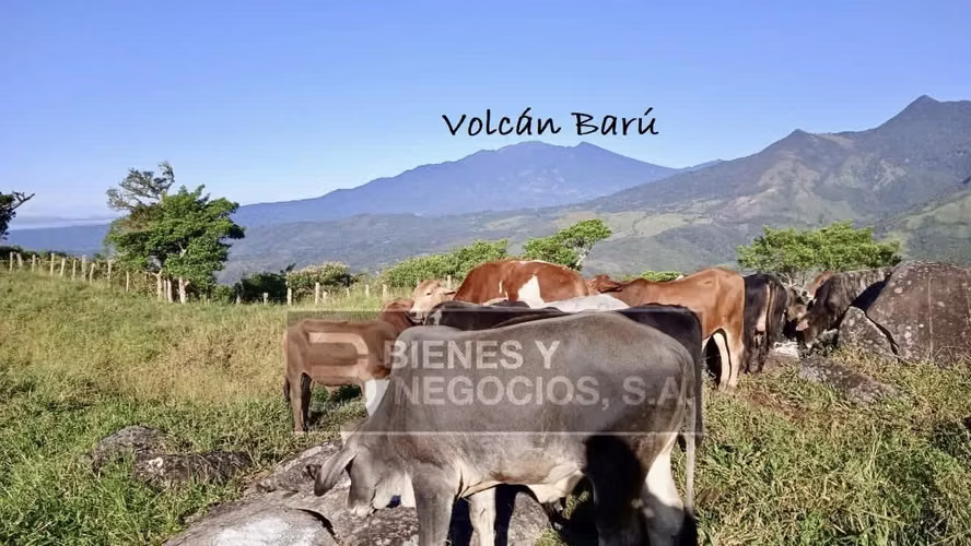 Finca en Chiriqui, Boquete, 55.7 hectáreas en Caldera
