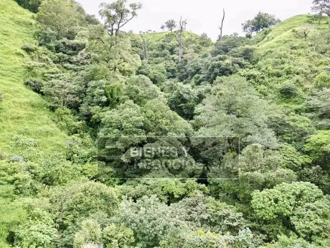 Finca en Chiriqui, Boquete, 55.7 hectáreas en Caldera