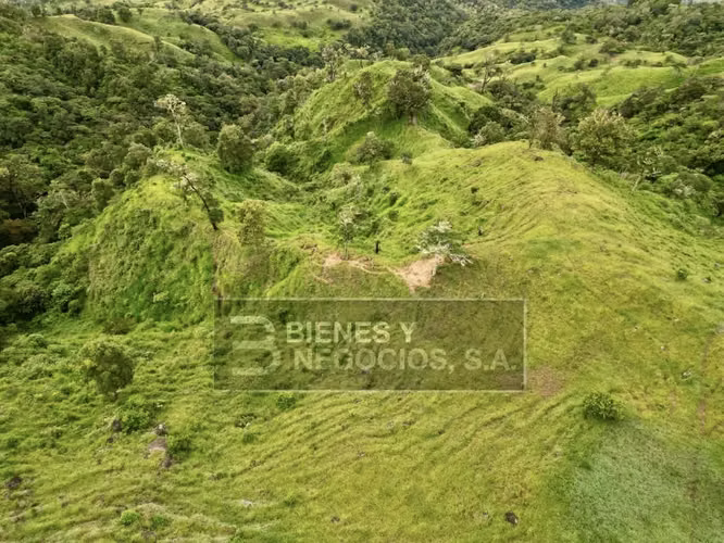 Finca en Chiriqui, Boquete, 55.7 hectáreas en Caldera