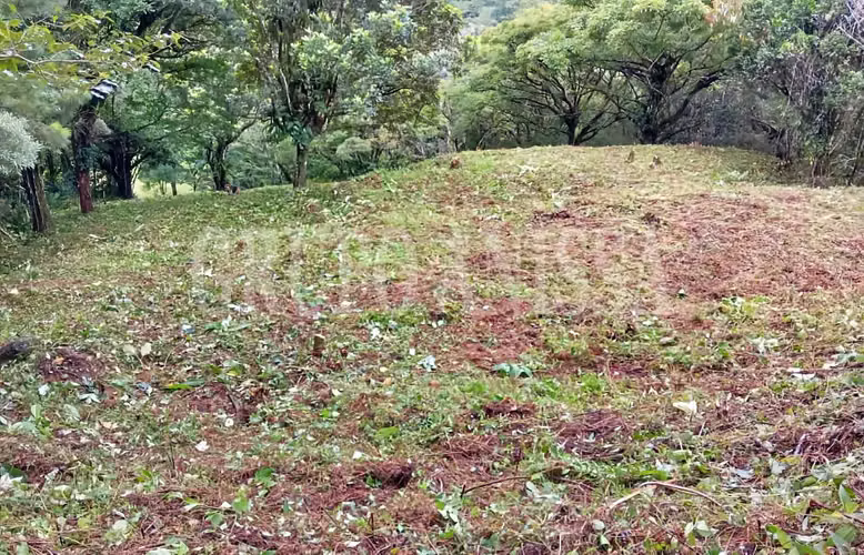 Se vende Terreno con Hermosas Vistas en Zona Alta - Altos del Maria - Imagen 3