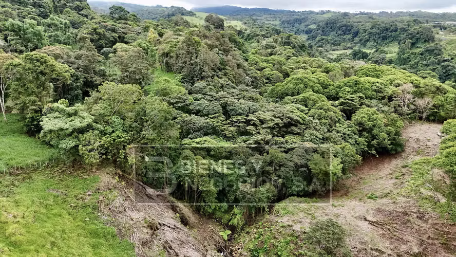 Finca en Chiriqui, Boqueron, 10.9 hectáreas en Guayabal