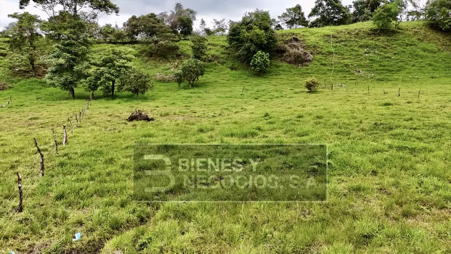 Finca en Chiriqui, Boqueron, 10.9 hectáreas en Guayabal