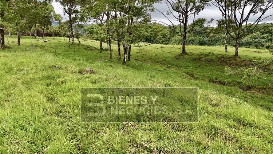 Finca en Chiriqui, Boqueron, 10.9 hectáreas en Guayabal