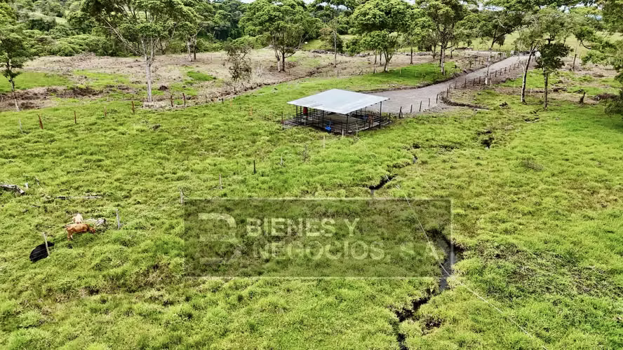 Finca en Chiriqui, Boqueron, 10.9 hectáreas en Guayabal