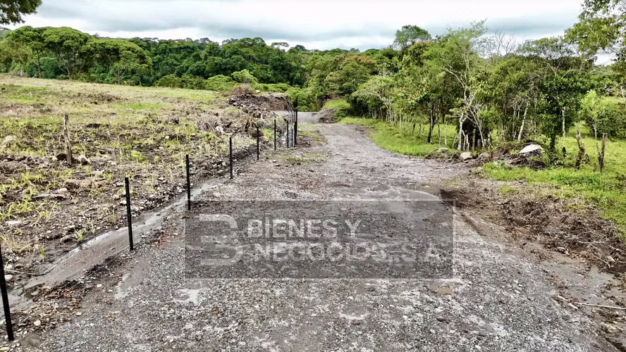 Finca en Chiriqui, Boqueron, 10.9 hectáreas en Guayabal
