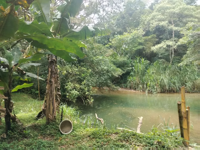 Venta de Cabañas tipo hotel e instalaciones turísticas con terreno de 6,000m2