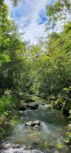 Venta de Finca en El Higo de San Carlos, Piedras Gordas, 33 hectáreas