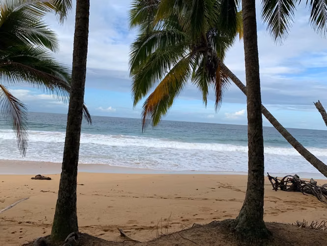Venta de terreno en Bluff Beach Isla Colón, Bocas del Toro