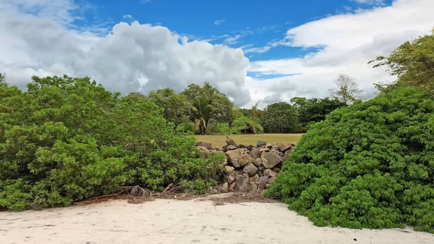 AMAZING BEACH FRONT LAND IN CHAME - Imagen 6