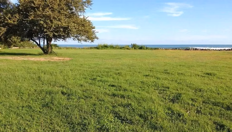 AMAZING BEACH FRONT LAND IN CHAME - Imagen 7