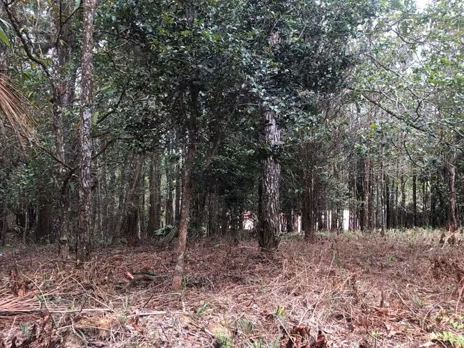 VENTA DE LOTE - TERRENO CERRO AZUL