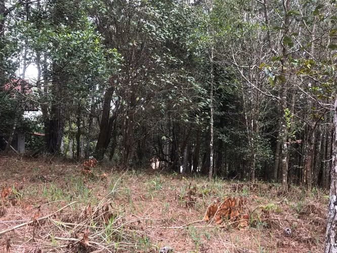 VENTA DE LOTE - TERRENO CERRO AZUL