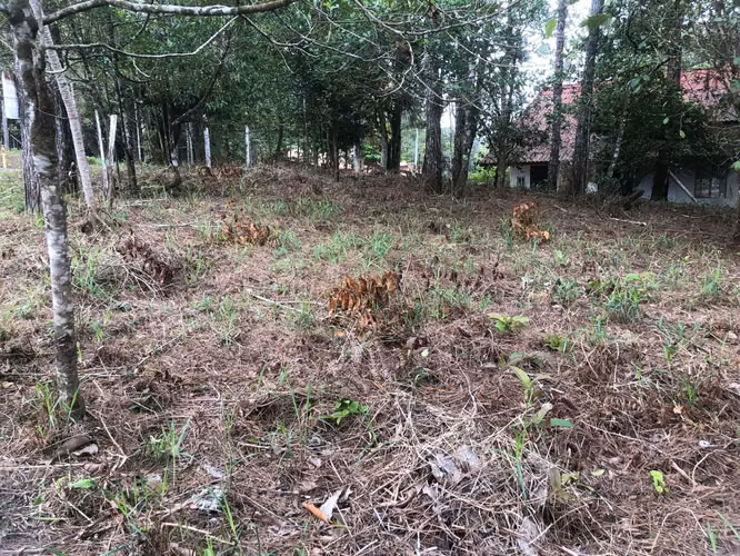 VENTA DE LOTE - TERRENO CERRO AZUL