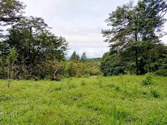 Se vende lote en Jaramillo Abajo, Boquete, Chiriquí