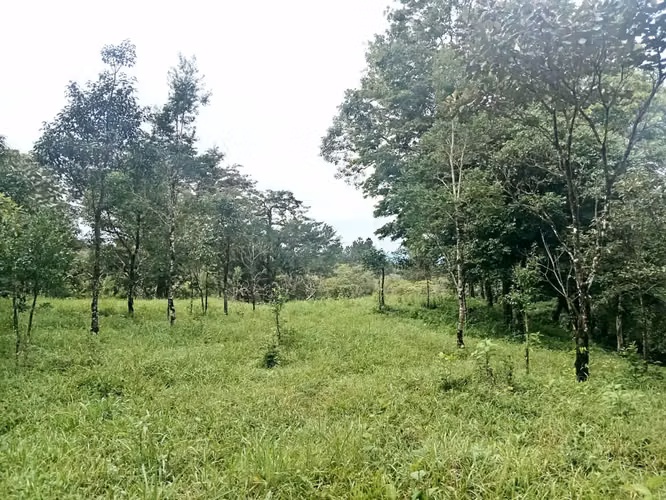 Se vende lote en Jaramillo Abajo, Boquete, Chiriquí