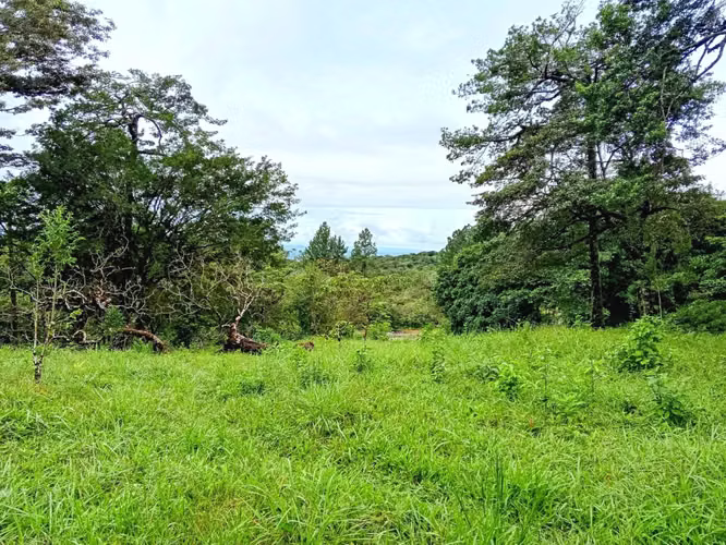 Lot of Land for sale in Jaramillo Abajo, Jaramillo, Boquete
