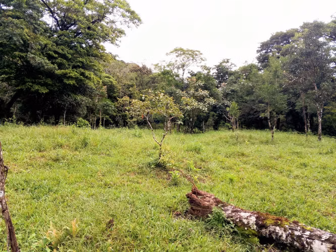Se vende lote en Jaramillo Abajo, Boquete, Chiriquí