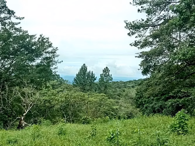 Lot of Land for sale in Jaramillo Abajo, Jaramillo, Boquete