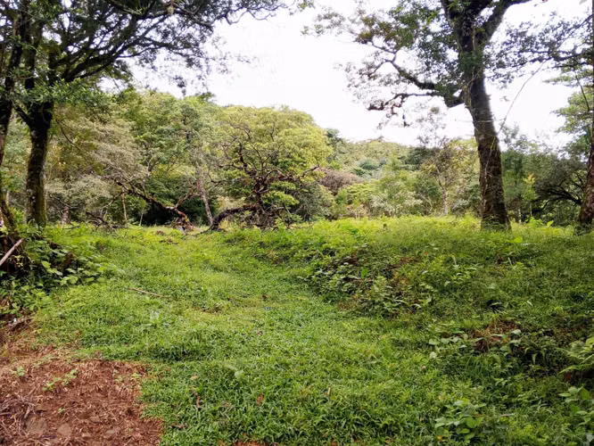 Se vende lote en Jaramillo Abajo, Boquete, Chiriquí - Imagen 3