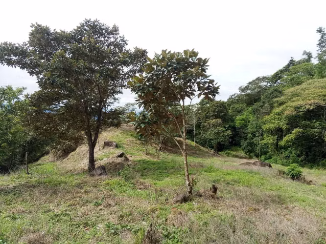 Se vende lote en Jaramillo Abajo, Boquete, Chiriquí