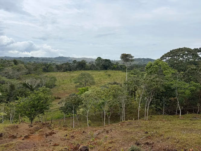 Venta de Finca en La Chorrera, Los Mortales, 54 hectáreas