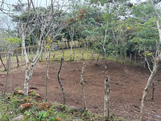 Venta de Finca en La Chorrera, Los Mortales, 54 hectáreas