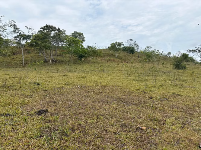 Venta de Finca en La Chorrera, Los Mortales, 54 hectáreas