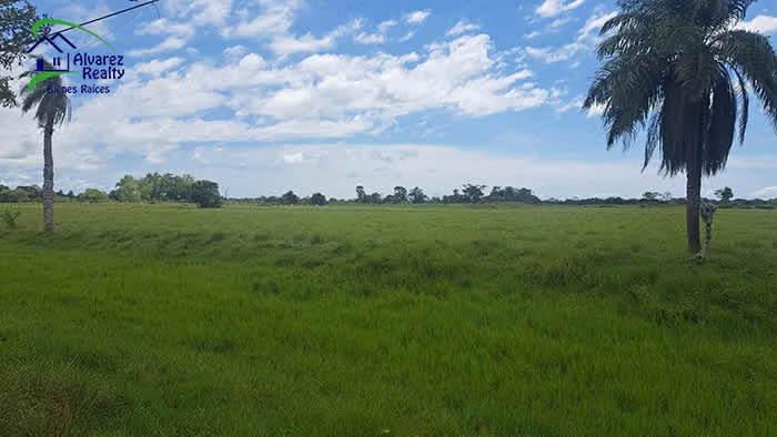 ID# F-0158 Finca en venta
