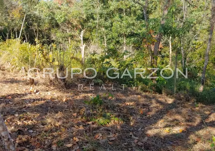 Venta de terreno cerca de Corredor Norte y Sur (Mañanitas)