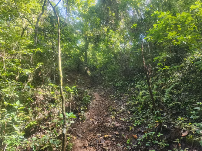 Se Vende Terreno en la provincia de Herrera, distrito de Ocu, Menchaca - Imagen 10