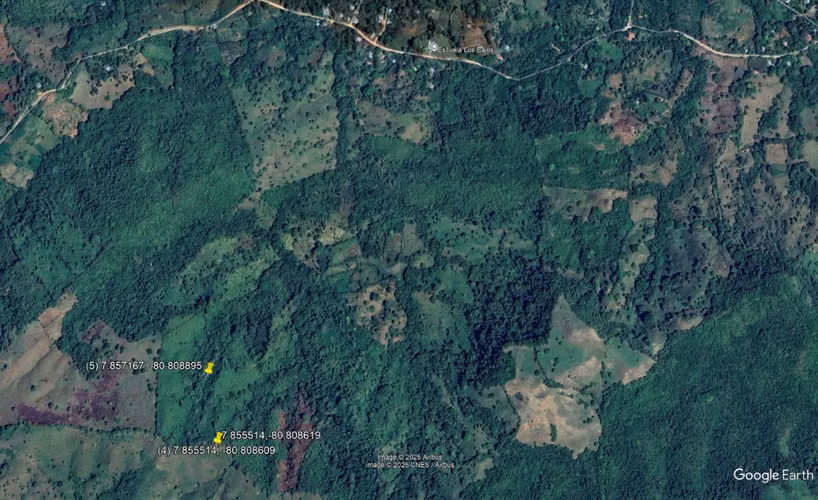 Se Vende Terreno en la provincia de Herrera, distrito de Ocu, Menchaca - Imagen 4