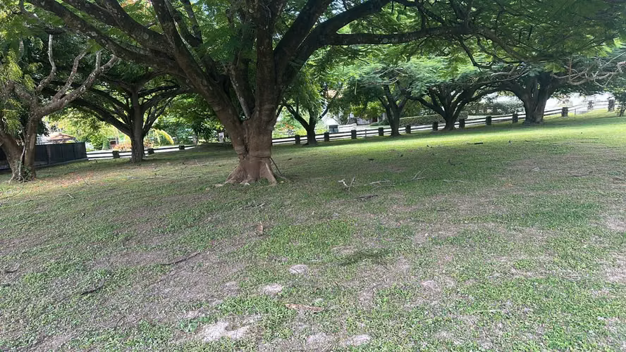 VENTA DE TERRENO EN PUNTA BARCO