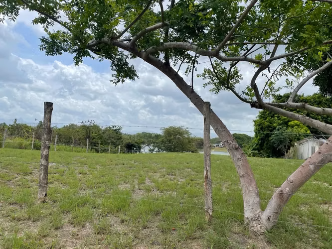 SUPER OFERTA SE VENDE PROPIEDAD SAN CARLOS (LAGOMAR) VIA LA ENSENADA