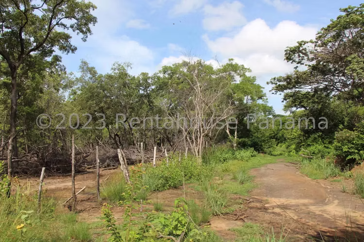 Vendo Terreno de 62 Hectáreas en Carretera Chame 25-9369GG - Imagen 19