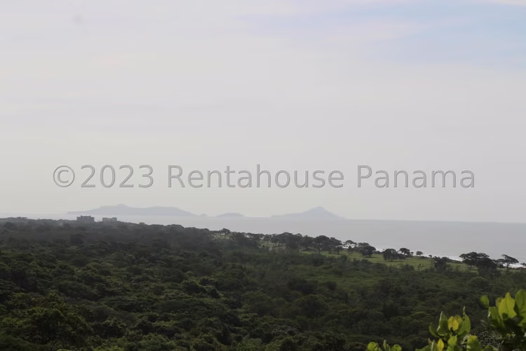 Vendo Terreno de 62 Hectáreas en Carretera Chame 25-9369GG - Imagen 15