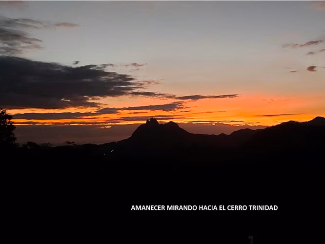 VENTA DE FINCA DE CAFÉ Y FRUTALES, TERRENO EN EL CACAO, CAPIRA (13)