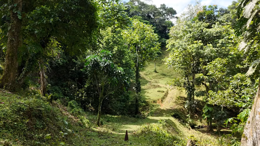 Se Vende Finca en Coclesito, La Pintada, Penonomé MLS23482