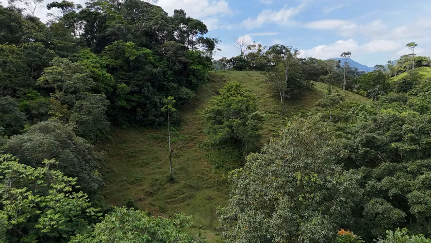Se Vende Finca en Coclesito, La Pintada, Penonomé MLS23482