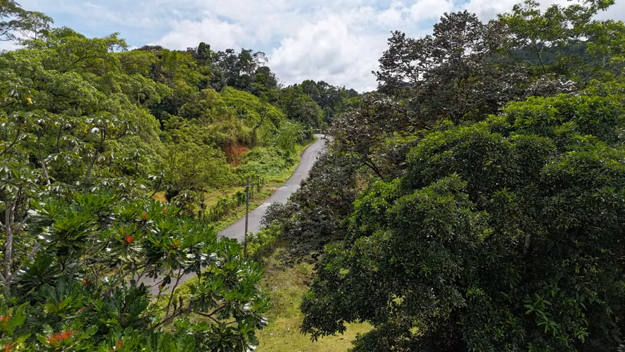 Se Vende Finca en Coclesito, La Pintada, Penonomé MLS23482