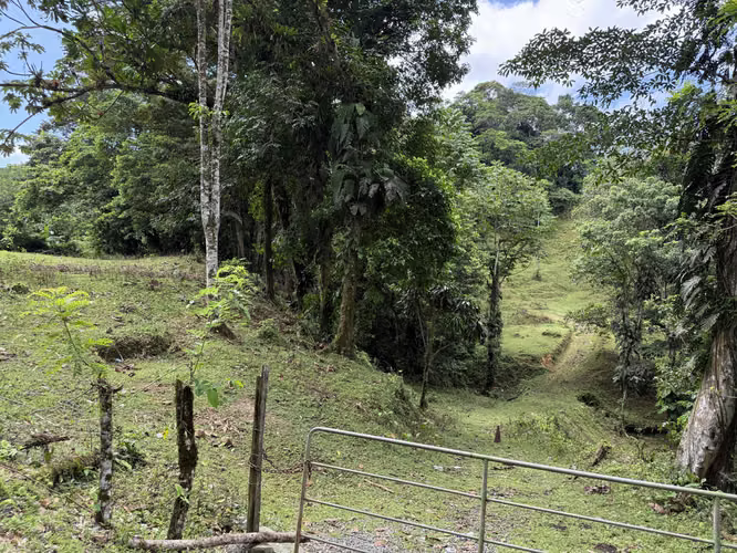 Se Vende Finca en Coclesito, La Pintada, Penonomé MLS23482