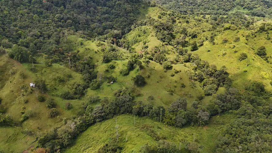 Se Vende Finca en Coclesito, La Pintada, Penonomé MLS23482