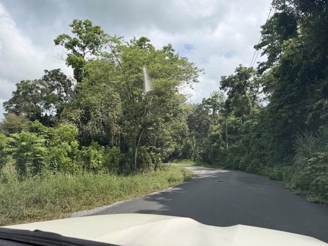 Se Vende Finca en Coclesito, La Pintada, Penonomé MLS23482