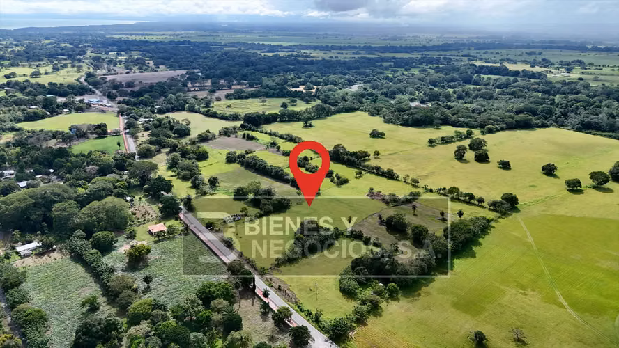 Finca en Chiriqui, Alanje, 23.3 hectáreas en Canta Gallo en dos fincas - Imagen 2