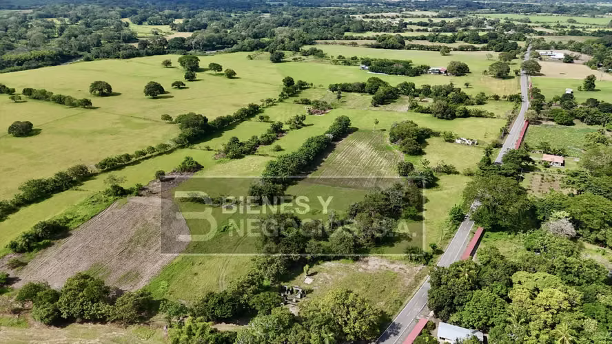 Finca en Chiriqui, Alanje, 23.3 hectáreas en Canta Gallo en dos fincas - Imagen 4