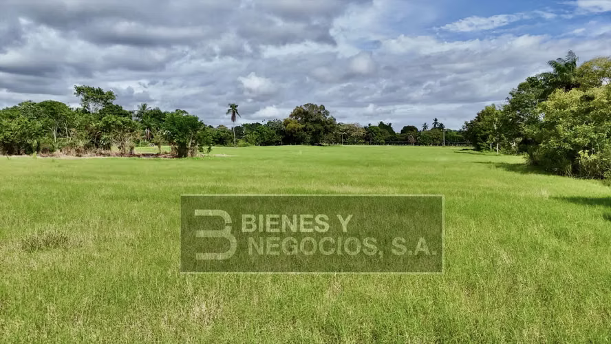 Finca en Chiriqui, Alanje, 23.3 hectáreas en Canta Gallo en dos fincas - Imagen 7