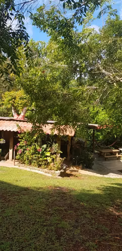 Venta de Hacienda en Arenas de Las Palmas - Santiago de Veraguas - Imagen 3